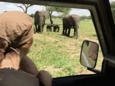 Viajes de aventuras que se pueden hacer en familia