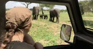 Viajes de aventuras que se pueden hacer en familia