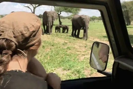 Viajes de aventuras que se pueden hacer en familia