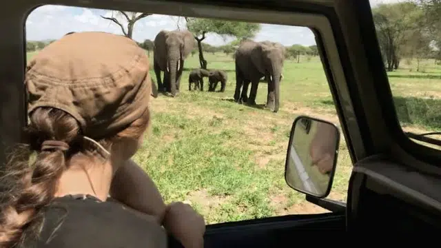 Viajes de aventuras que se pueden hacer en familia