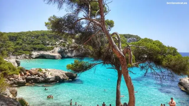 cala-en-el-sur-de-menorca-en-baleares-playas-cristalinas Playa en el sur de Menorca